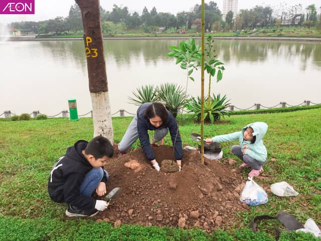 Trồng thêm 1000 cây hoa anh đào tại Hà Nội