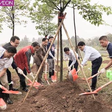 Trồng thêm 1000 cây hoa anh đào tại Hà Nội